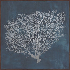 Inverse Sea Fan VII