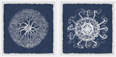 Sea Anemone on Indigo II Diptych