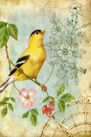 Yellow Songbird