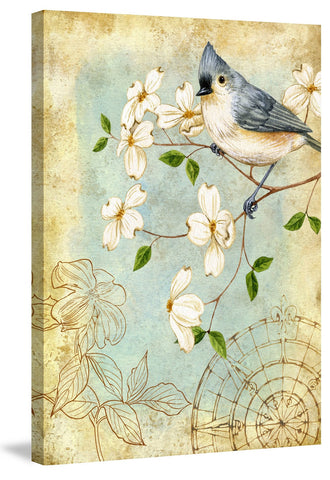 Bluejay & Blooms