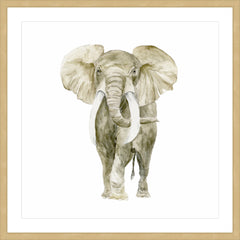 Baby Elephant I