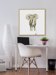 Baby Elephant I