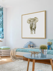 Baby Elephant I