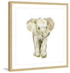 Baby Elephant II