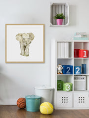 Baby Elephant II