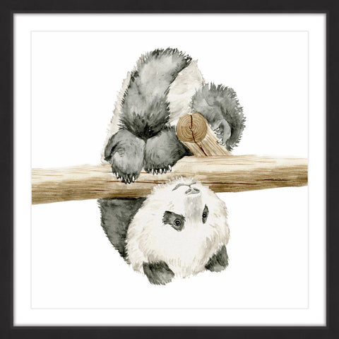 Baby Panda II