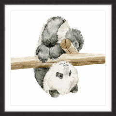 Baby Panda II