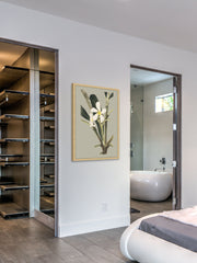 Botanical Cabinet IV