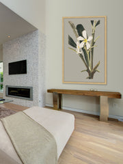 Botanical Cabinet IV