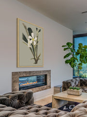 Botanical Cabinet IV