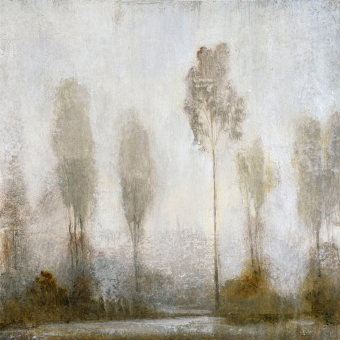 Misty Marsh II
