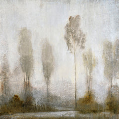 Misty Marsh II