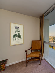 Botanique Study in Lavender III