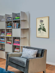 Botanique Study in Lavender III