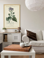 Botanique Study in Lavender III