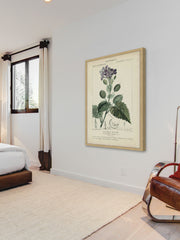 Botanique Study in Lavender III