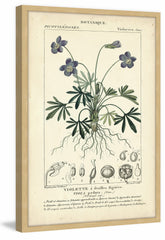 Botanique Study in Lavender IV