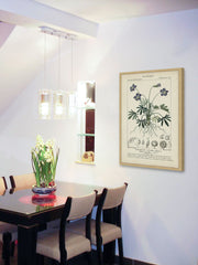 Botanique Study in Lavender IV