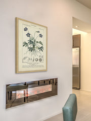 Botanique Study in Lavender IV