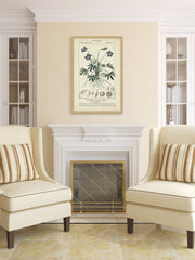 Botanique Study in Lavender IV