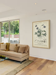 Botanique Study in Lavender IV