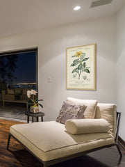 Botanique Study in Yellow I