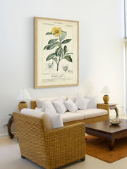 Botanique Study in Yellow I