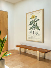 Botanique Study in Yellow I