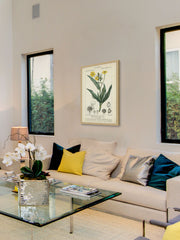 Botanique Study in Yellow III