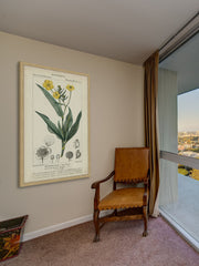 Botanique Study in Yellow III