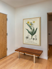 Botanique Study in Yellow III