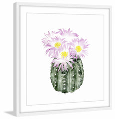 Cactus Bloom I