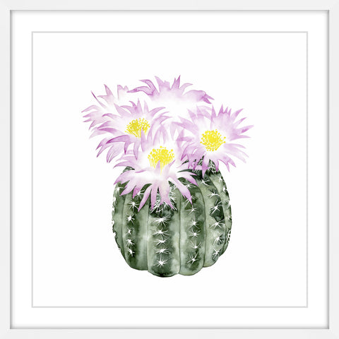 Cactus Bloom I