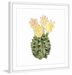 Cactus Bloom II