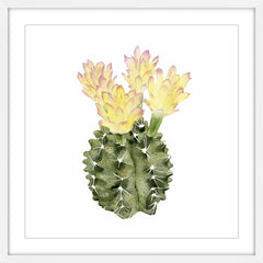 Cactus Bloom II