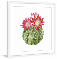 Cactus Bloom III