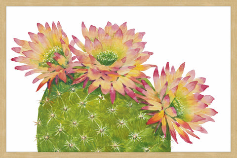 Desert Blossoms I
