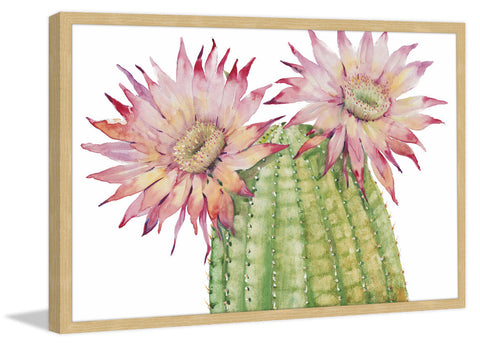 Desert Blossoms II