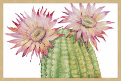 Desert Blossoms II