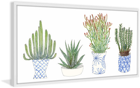 Four Succulents I