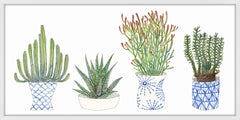 Four Succulents I