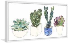 Four Succulents II