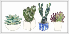Four Succulents II