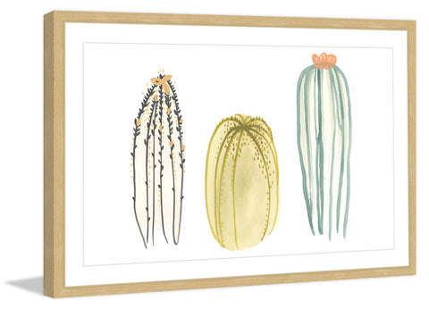 Funky Succulents III