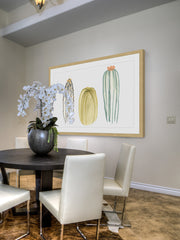 Funky Succulents III