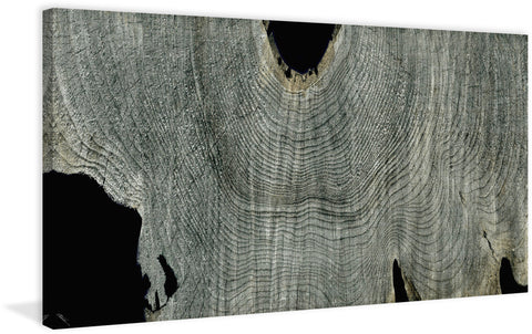 Gray Ghost II