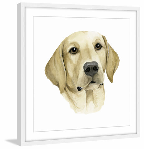 Human's Best Friend I