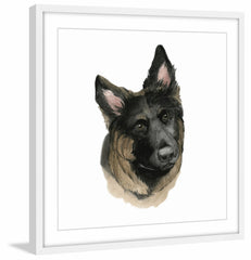 Human's Best Friend II