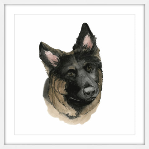 Human's Best Friend II