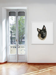 Human's Best Friend II